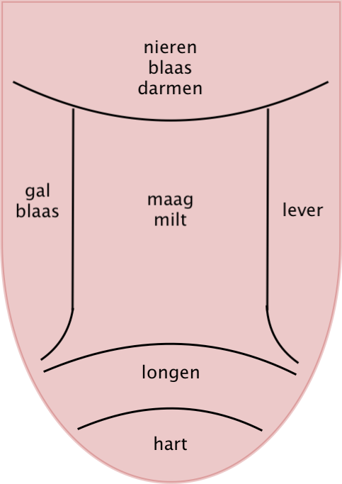 Tong topografie