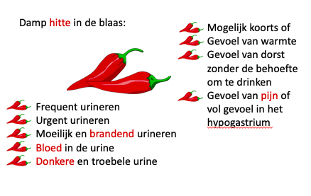 damp hitte in de blaas